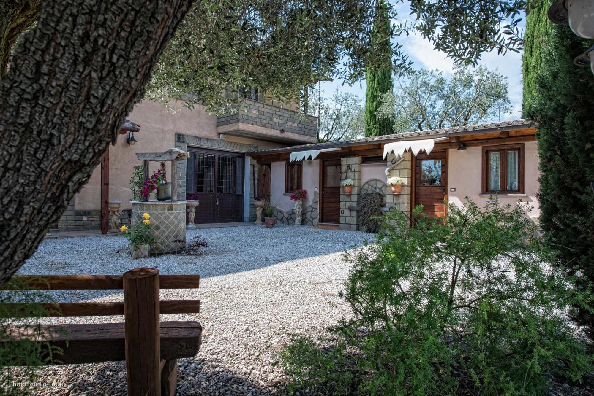 Il Giardino Dei Flintstones B&B チェルヴェーテリ エクステリア 写真