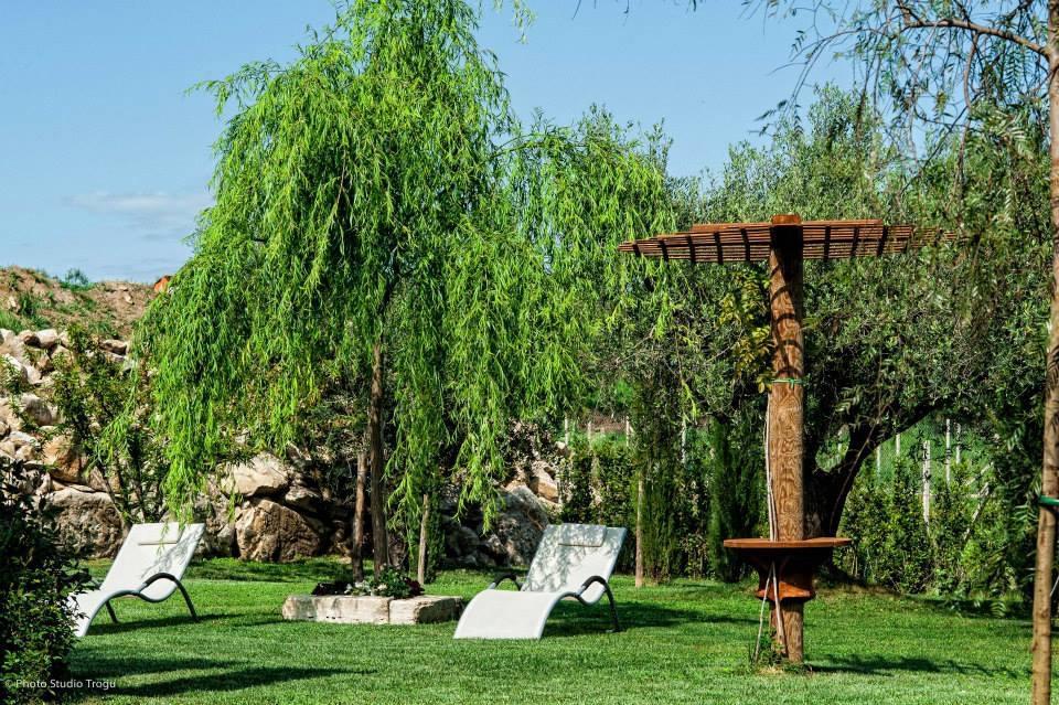 Il Giardino Dei Flintstones B&B チェルヴェーテリ エクステリア 写真